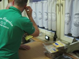 Ausrastellies in Könen 2012